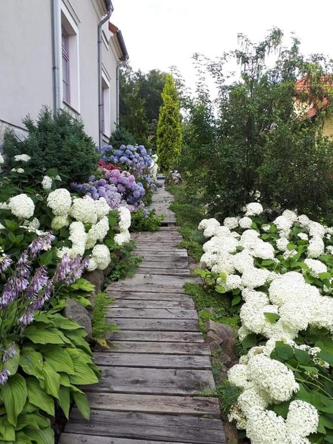 Hortensjowe Wzgorze Myslenice Bagian luar foto